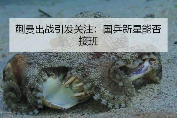 蒯曼出战引发关注：国乒新星能否接班